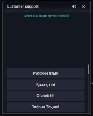 Pin Up customer support chat window asking to select a language for the request